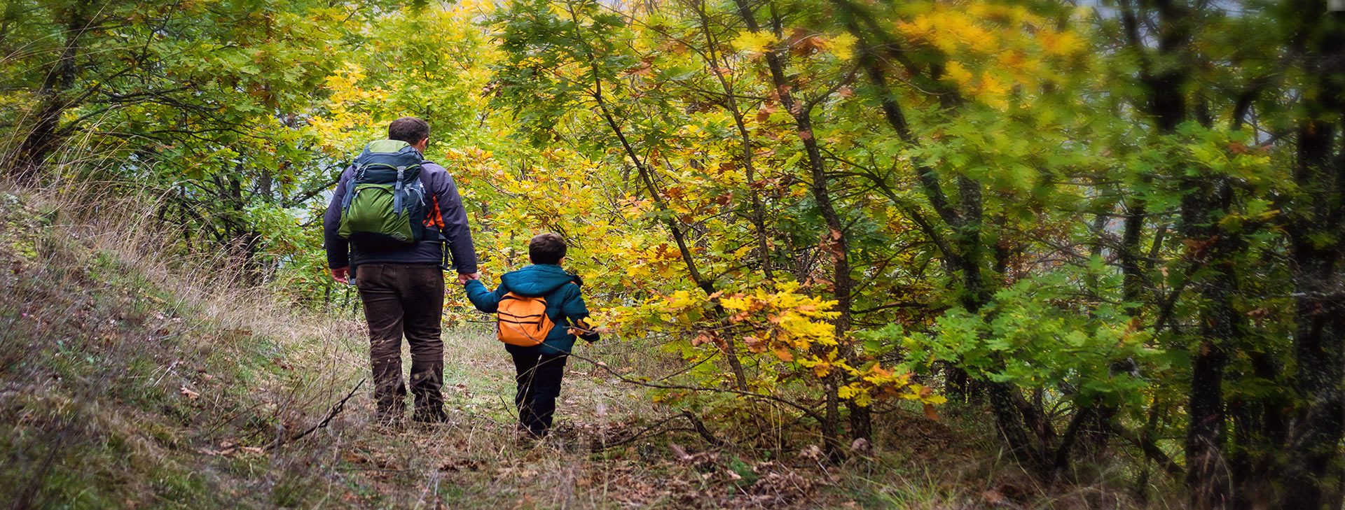 Friends of Rondeau Provincial Park