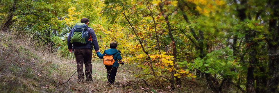 Explore Rondeau's unique habitats by taking stroll down one of our trails.